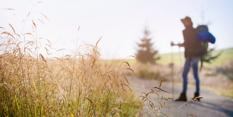 A person with hiking poles and a backpack walking along trails with prairie grasses in the forefront.