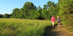 a couple is walking along a dirt trail with woods on one side and a tall grass field on the other. 